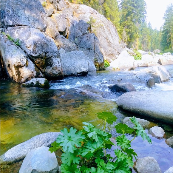 Meet your Posher, Kelly - Picture 1 of 1